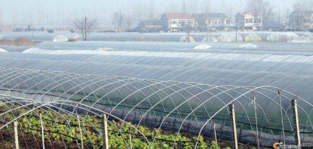 PP光穩(wěn)定劑的介紹以及工業(yè)應(yīng)用 PP光穩(wěn)定劑的介紹以及工業(yè)應(yīng)用