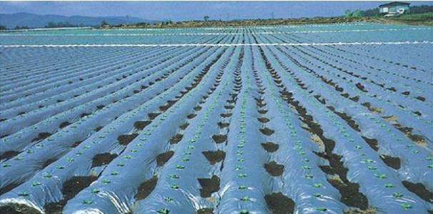 天罡光穩(wěn)定劑對中溫化學(xué)鍍鎳-磷合金的影響