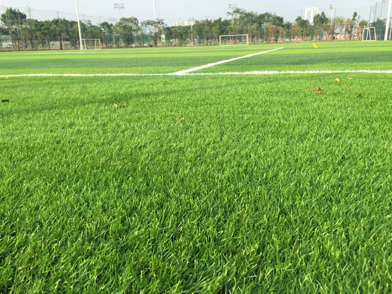 創(chuàng)新不止步，北京天罡新一代光穩(wěn)定劑蟬聯(lián)“榮格技術(shù)創(chuàng)新獎(jiǎng)”